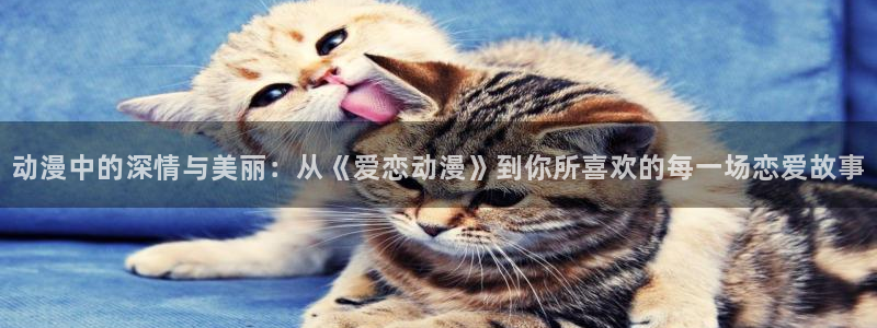 风车动漫免费动漫软件